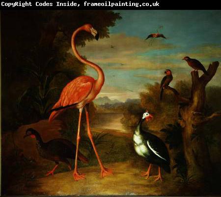 Jakob Bogdani Flamingo and Other Birds in a Landscape